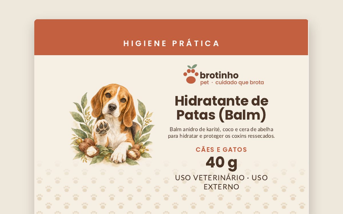 Patas e focinho: os cuidados que a gente esquece